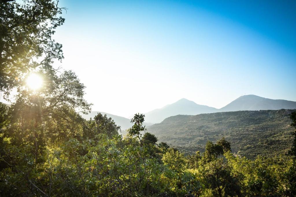 Enagron Ecotourism Village Axós Zewnętrze zdjęcie