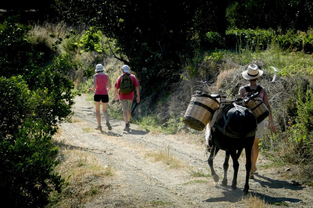Enagron Ecotourism Village Axós Zewnętrze zdjęcie